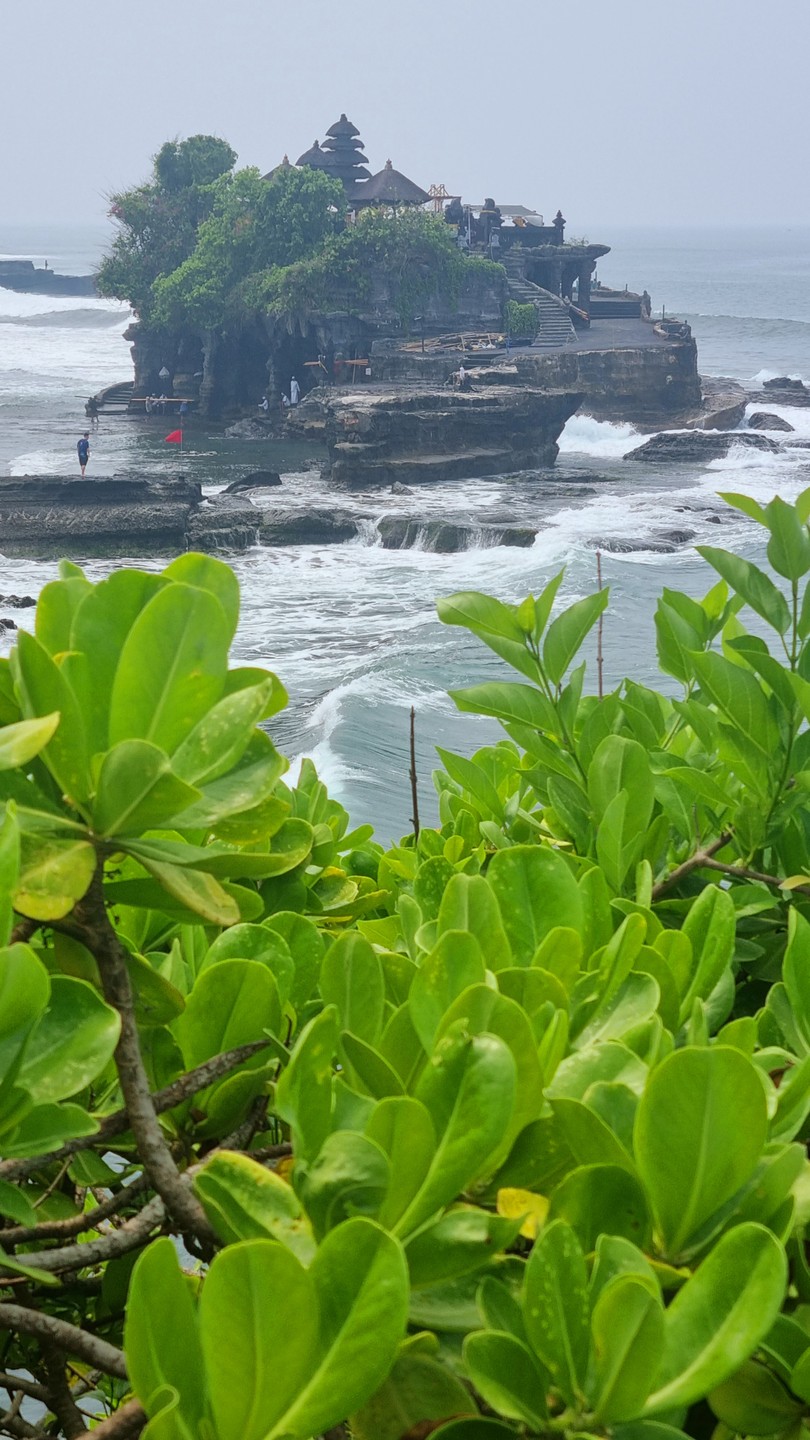 Отличный гид на Бали!