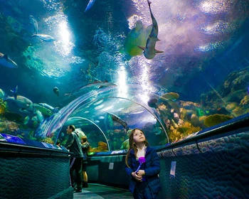 Шанхайский океанариум, переезд в Сучжоу