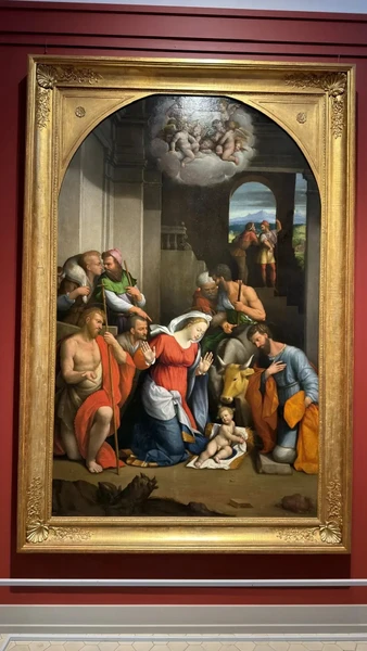 очень понравилось, рекомендую