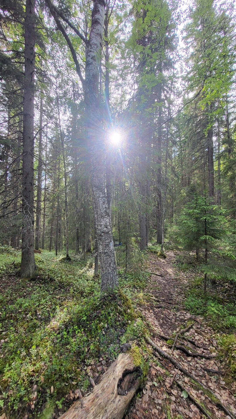 Были на экскурсии 23.06.2024. Прекрасная организация, виды из окна машины по пути в Урочище и увлекательный