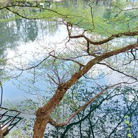Фото отзыва 3: экскурсия "Язык Тролля и Верхняя Балкария в мини-группе из Кисловодска"