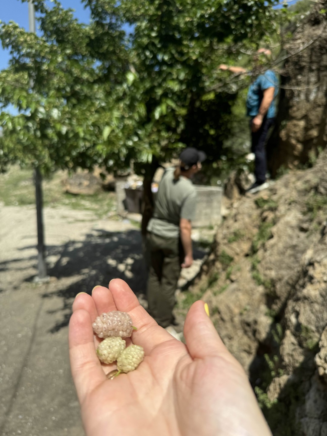 Мы с мужем остались в восторге и от самого Дагестана, и от замечательного гида Магамедсайгида! Он