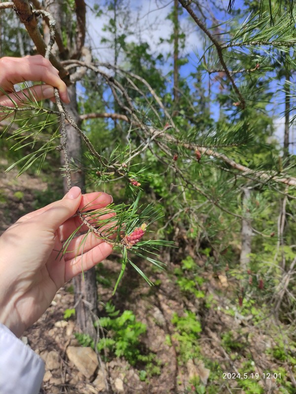 Путешествие в горнозаводскую глубинку: Сим — Миньяр — Аш - Фото 6