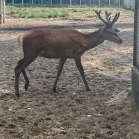 Фото отзыва 5: экскурсия "Групповая экскурсия в&nbsp;Брест и&nbsp;Беловежскую пущу"
