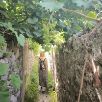 Фото отзыва 1: экскурсия "Из Тираны — в элегантную Крую"