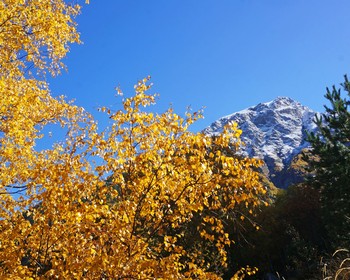 На внедорожниках к старинным аулам, башням и пещере
