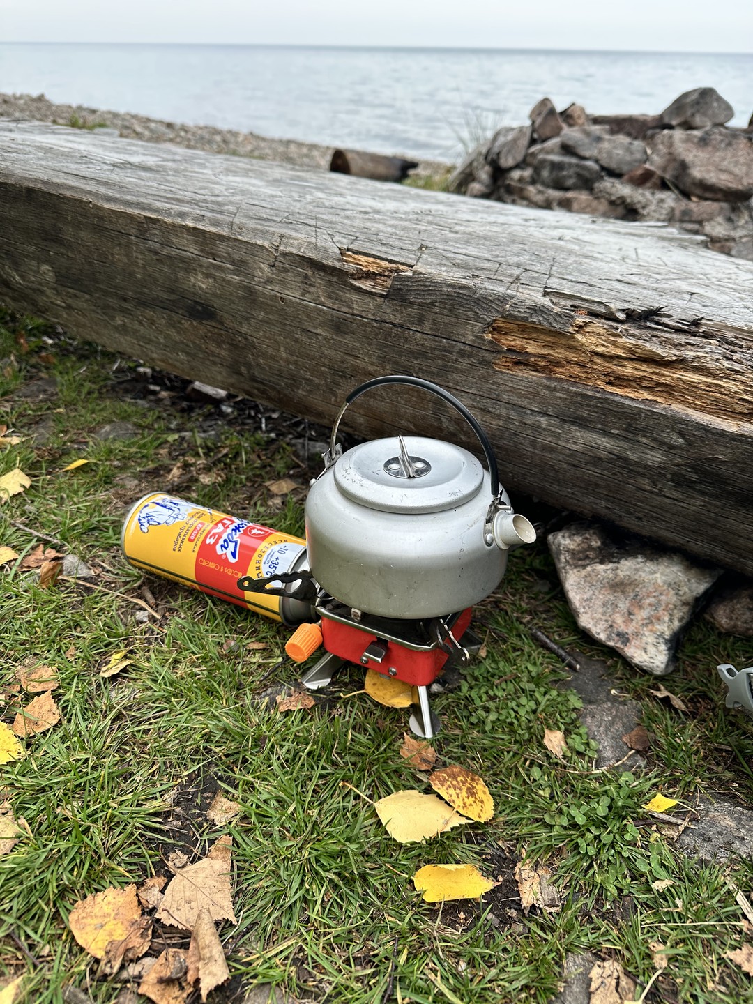 Елена невероятно душевный и тёплый человек! Я получила огромное удовольствие от путешествия с ней. Маршрут живописный