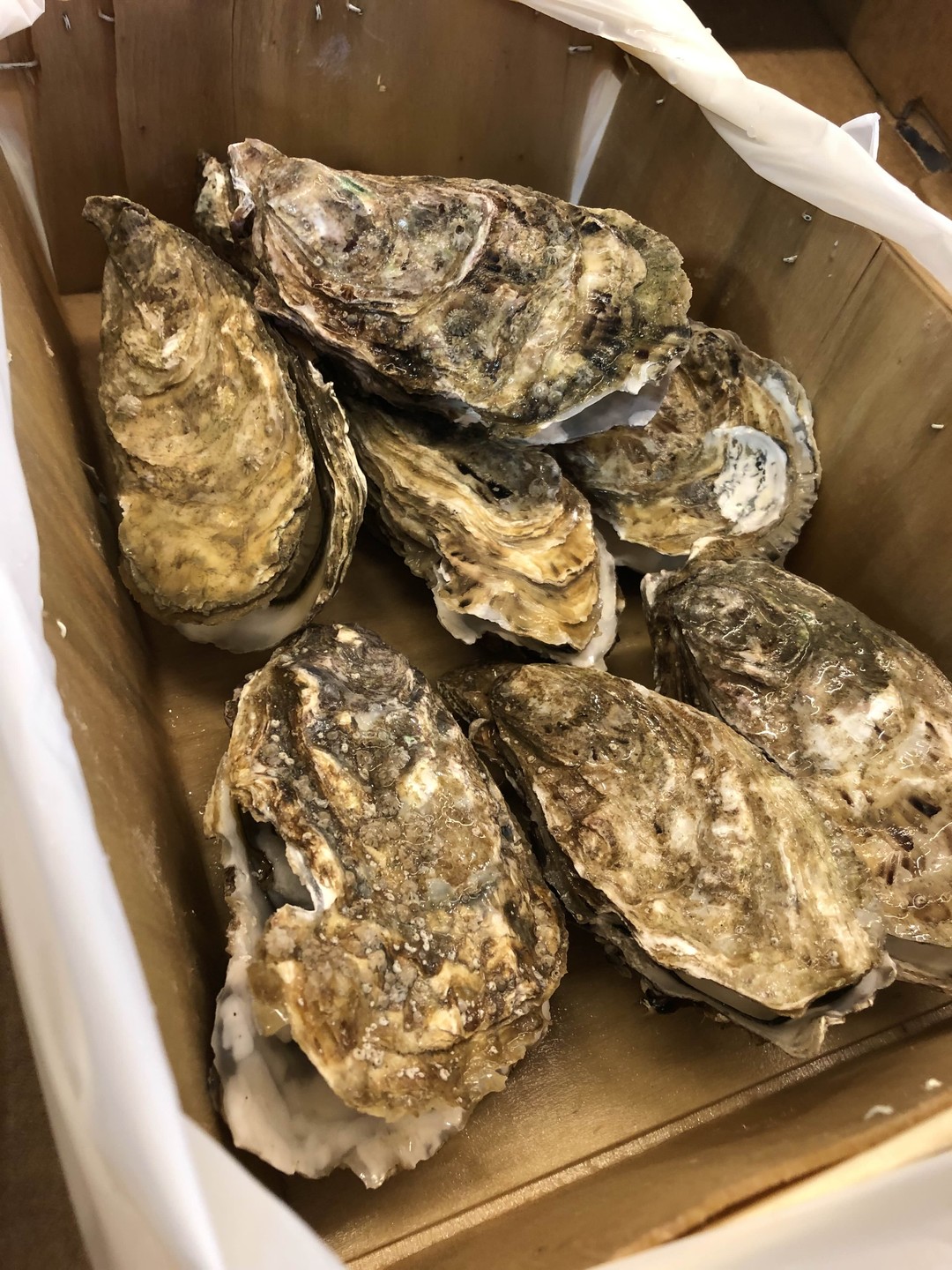 Наша встреча была несколько лет назад, но помнится, как вчера