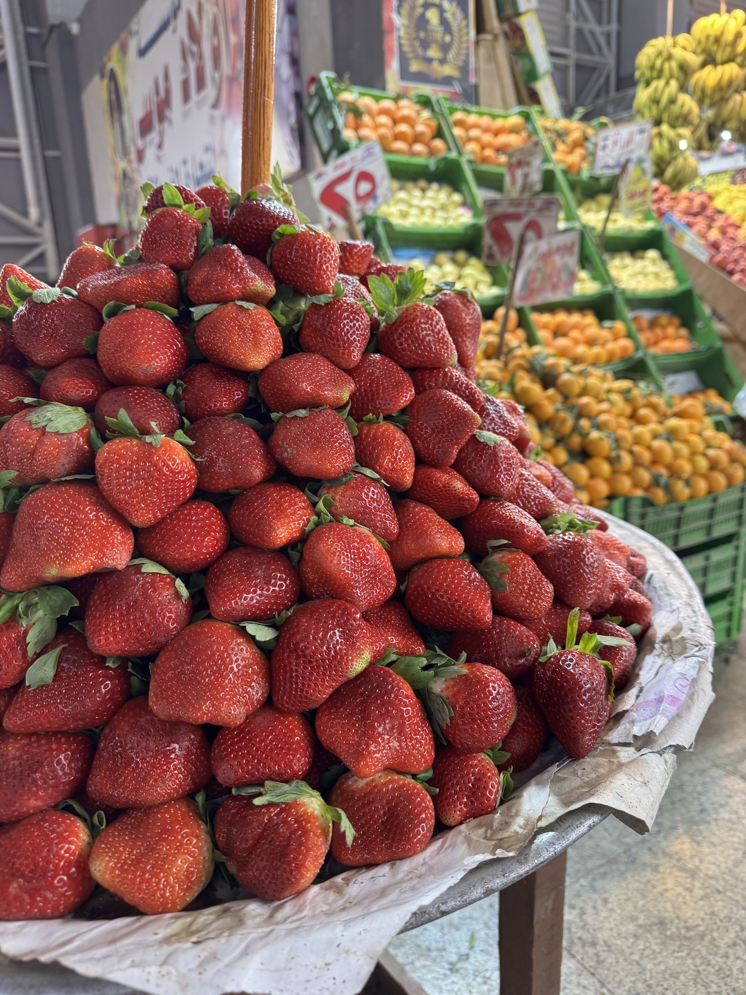 Роскошная экскурсия по наполнению и послевкусию. Гид Екатерина великолепный рассказчик, обладающий энциклопедическими знаниями. Благодаря ей Хургада