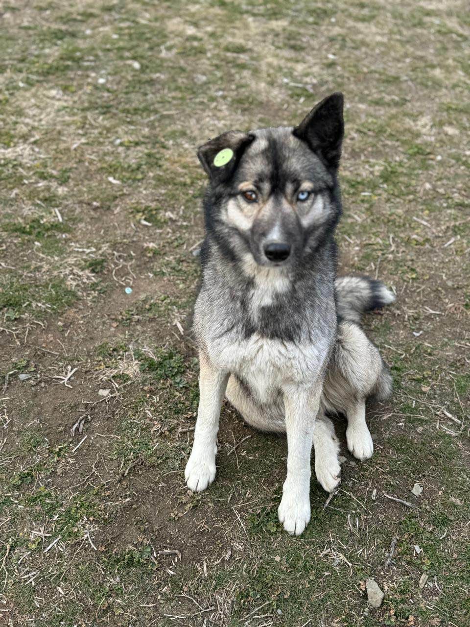 Экскурсия прошла по запланированному плану. Ограничений во времени посещений достопримечательностей не было. Водитель и гид были