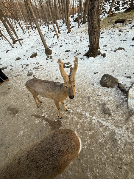 Были на экскурсии в Находку 3 февраля с Екатериной