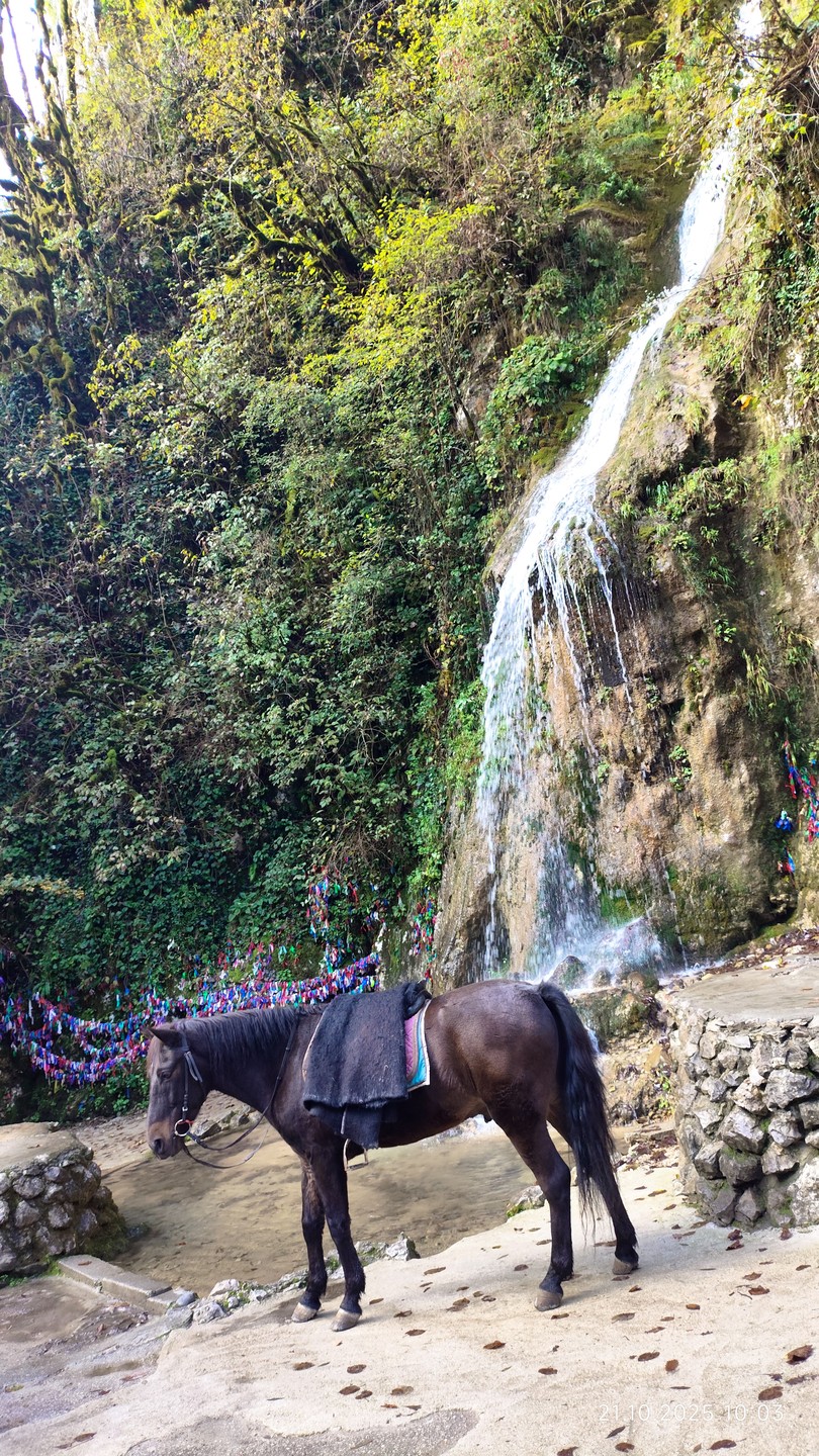 Все очень понравилось, спасибо Экскурсоводу Виктории и водителю Андрею. Очень интересно, красиво, безопасно. Есть дополнительные расходы