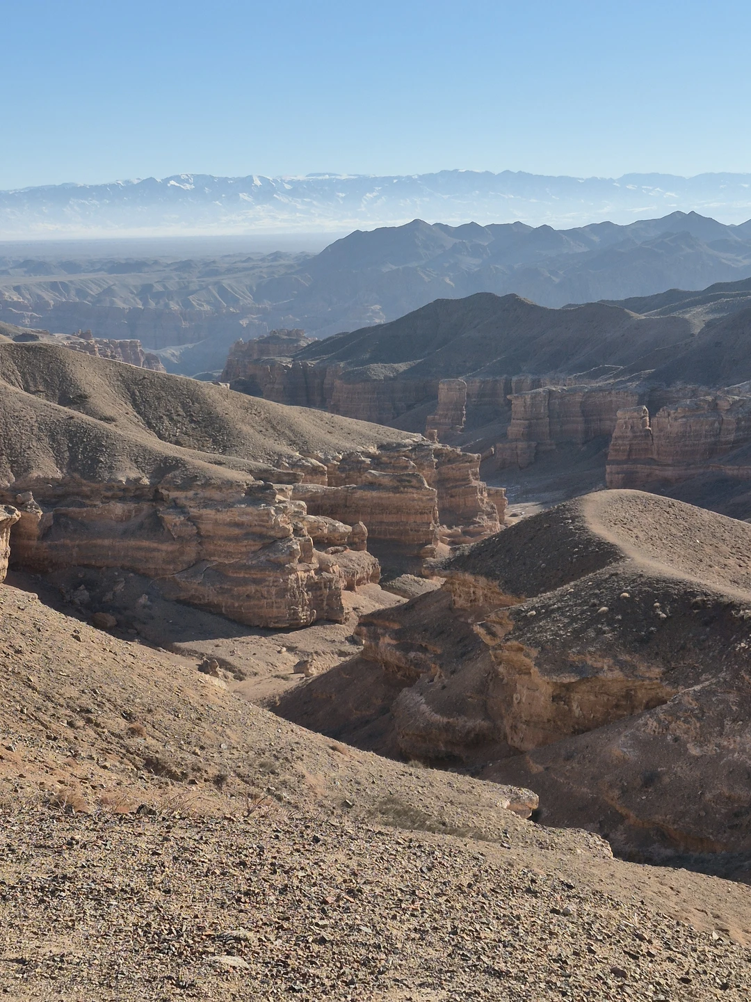 Заказывали индивидуальный тур, нас было 6 человек, забрали из дома в 6:00, туда и доставили. Передвигались