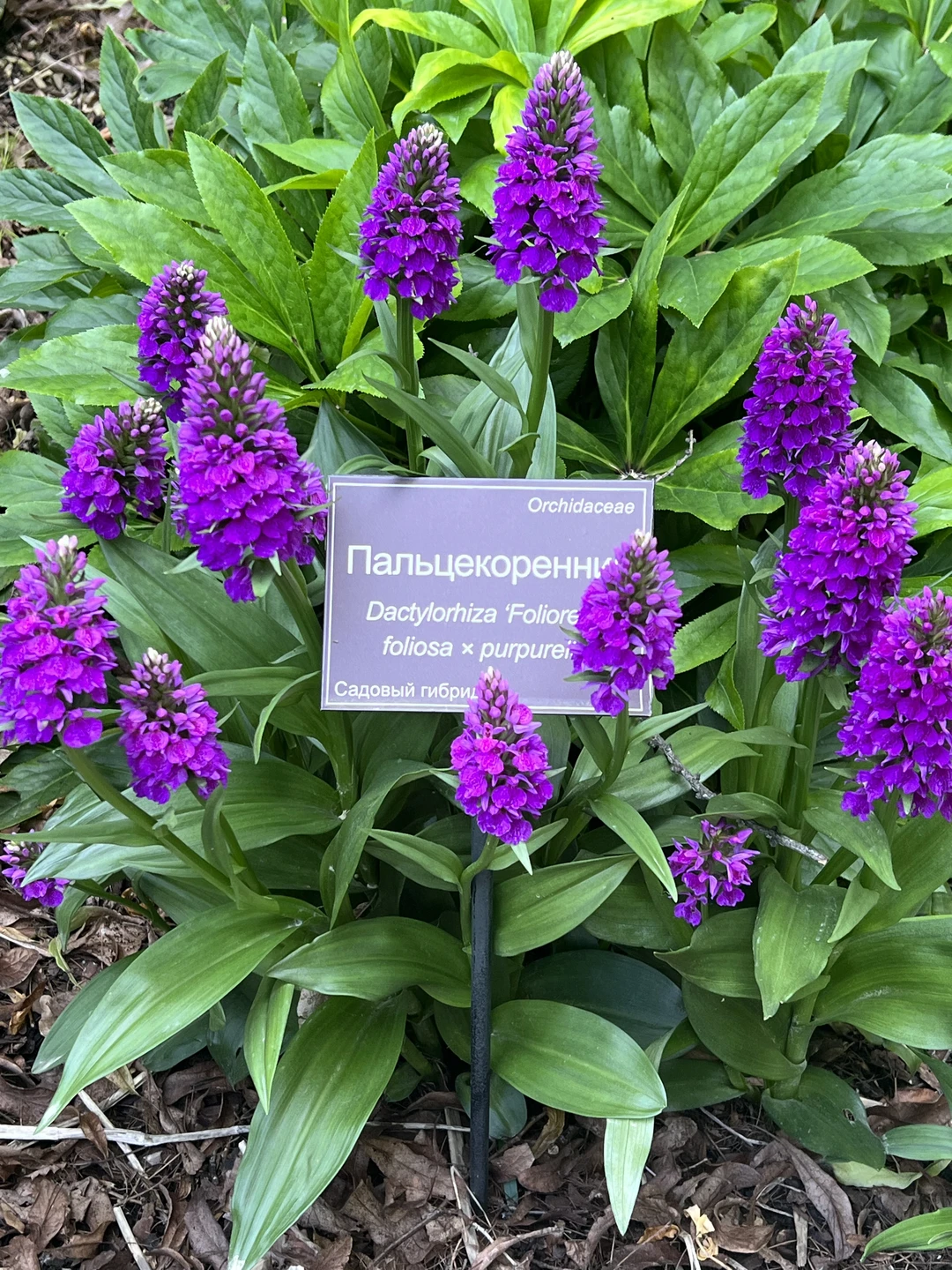 Большое спасибо Елене за прекрасную экскурсию. Нам все понравилось. Рассказ был содержательный, интересный и познавательный. Реальность