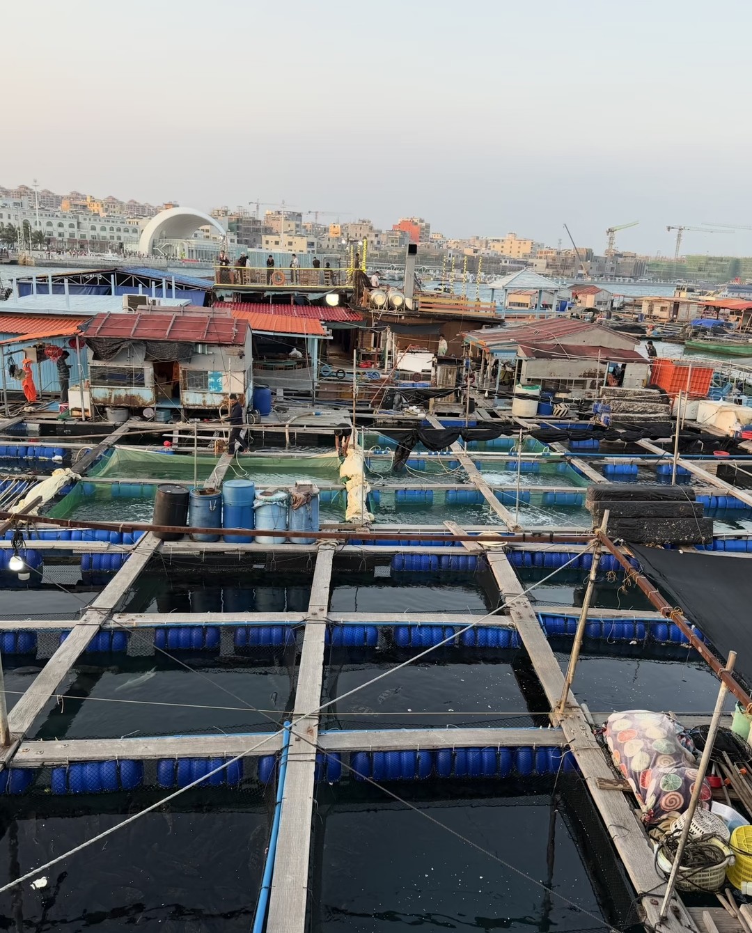 Путешествие вдоль восточного побережья Саньи определенно стоило того! Залив Циншуй был невероятно расслабляющим, с прекрасными прибрежными