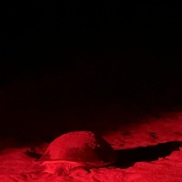 reviews img