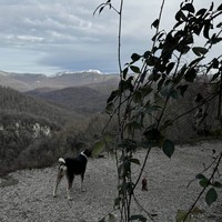 Фото отзыва 2: экскурсия "Дикий Сочи: от Воронцовских пещер по тропам колхидского леса до самшитовой рощи"