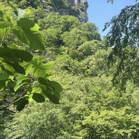 Фото отзыва 2: экскурсия "Два в одном: Агурское ущелье и Орлиные скалы"