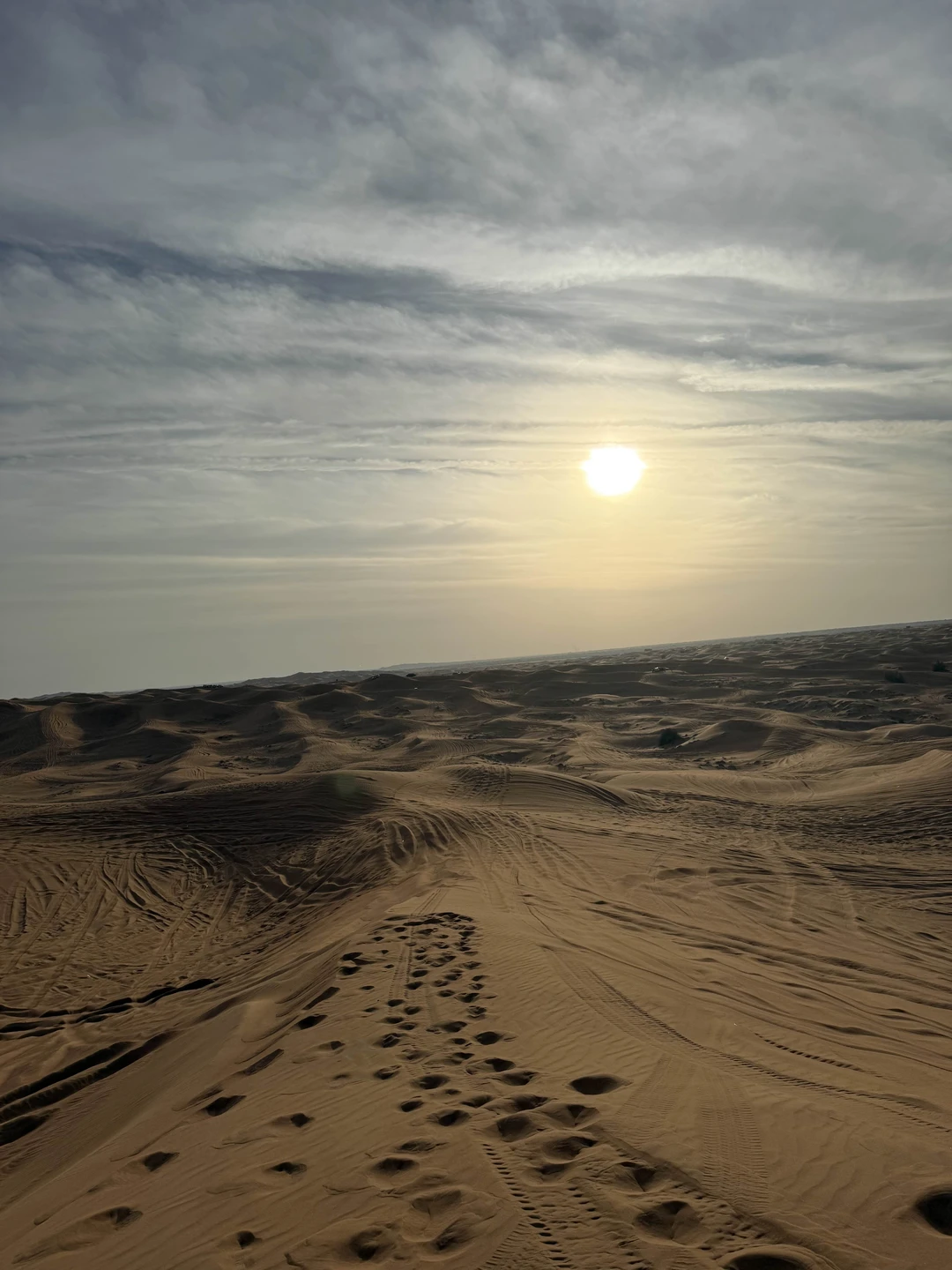 Экскурсия просто находка!!!! Советую всем, кому нужны эмоции и встряска! Организация на полном уровне!!! Я очень