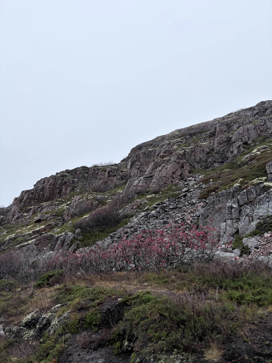 Очень понравилась экскурсия, просто было замечательно😍