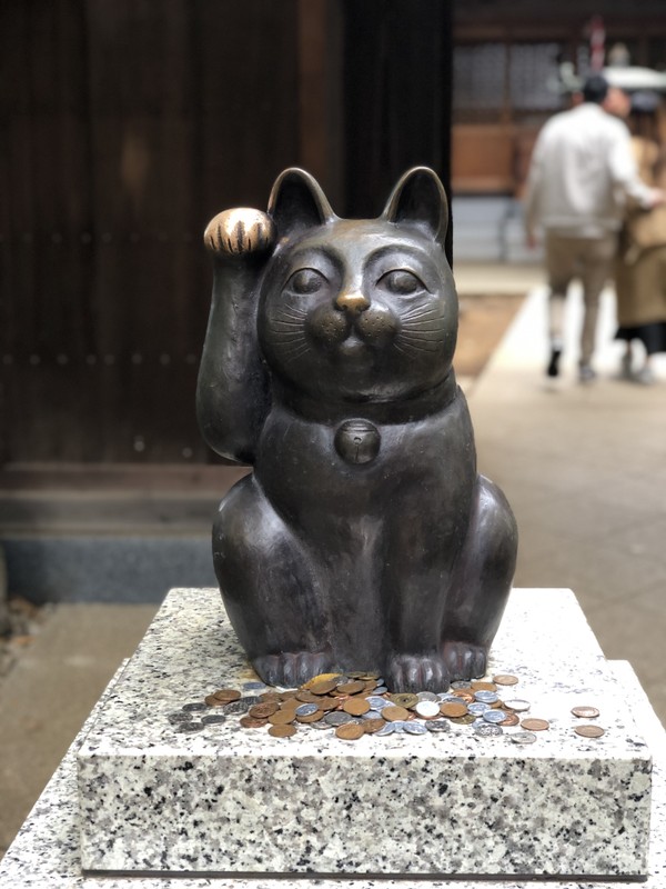 Токио в тени взмаха кошачьей лапы