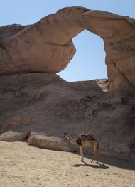 Фото отзыва 2: экскурсия "Из&nbsp;Акабы&nbsp;— в&nbsp;пустыню Вади-Рам"