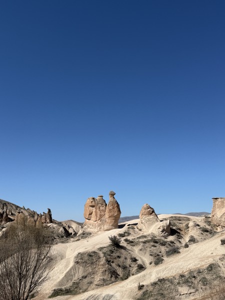 Очень рекомендую экскурсию с Доганом! мы были небольшой женской компанией и нам очень понравилось! С первых