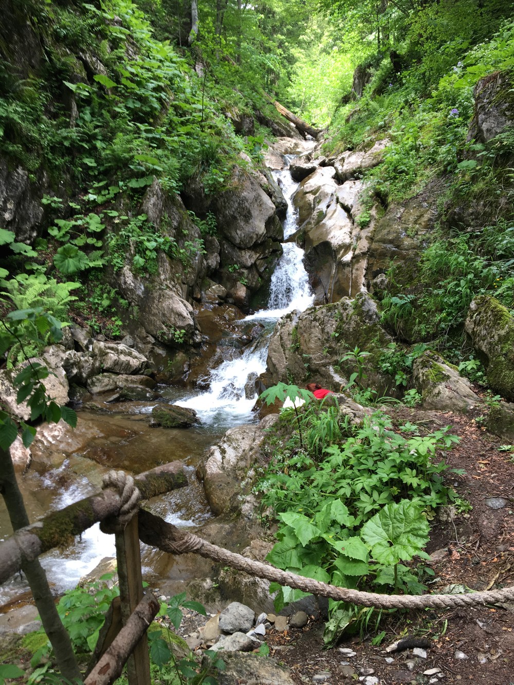 Групповое путешествие к водопадам Красной Поляны (9/12)