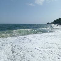 Фото отзыва 4: экскурсия "Сафари-парк и три бухты: Муравьиная, Шамора и Стеклянная (в мини-группе)"