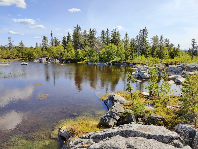 Фото отзыва 1: авторский тур "По лестнице в небо: подъём на гору Воттоваара в индивидуальной группе"