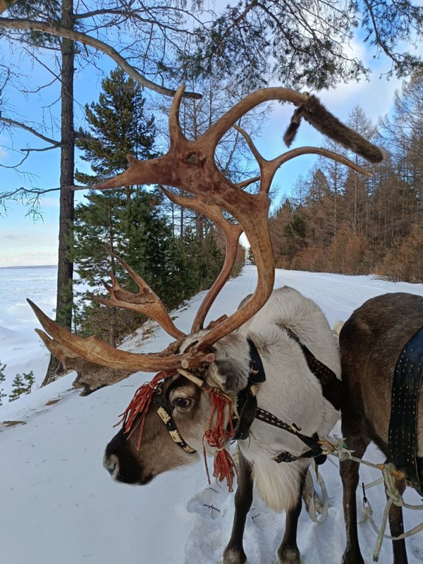 Из Улан-Удэ - на Байкал