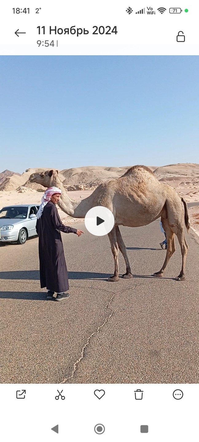 Путешествие в заповедник Рас-Мохаммед (Оксана)