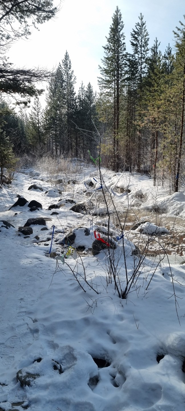 Когда выбирали экскурсию руководствовались тем, что мы ничего не знаем про Байкал, ни разу не были
