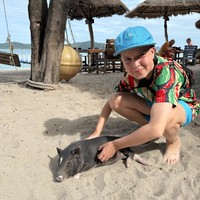 Фото отзыва 2: экскурсия "Индивидуальная морская прогулка со снорклингом и остановкой на Pig Island"