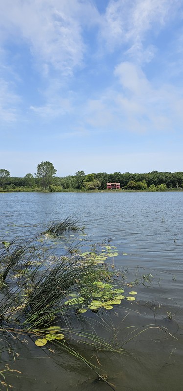 Виды Из Стамбула — в район Чаталджа