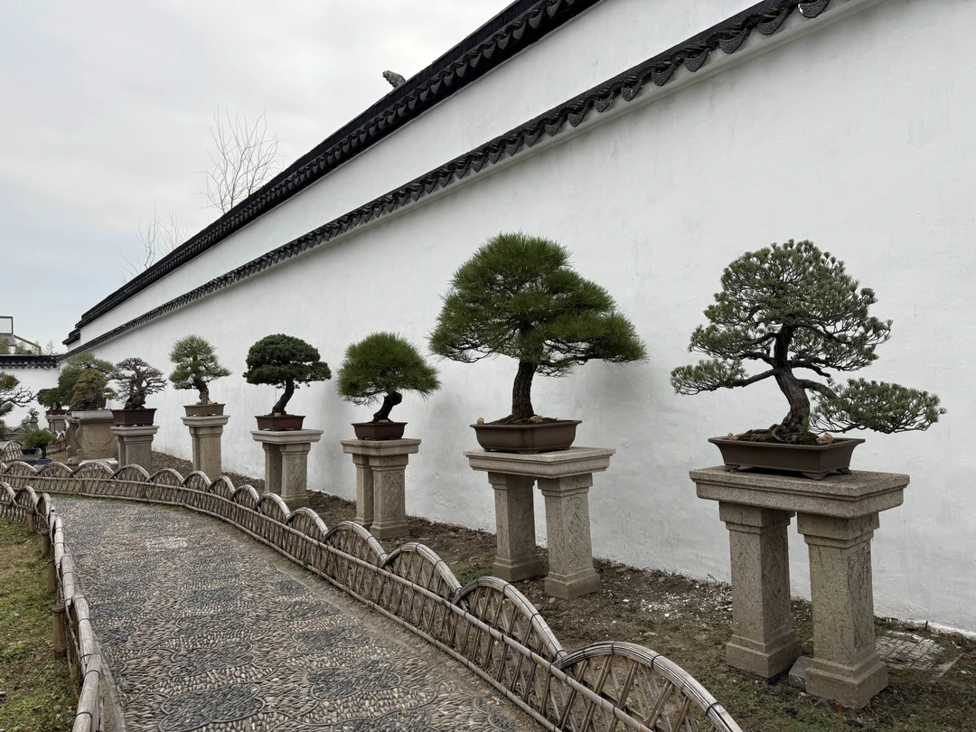 Понравилось!