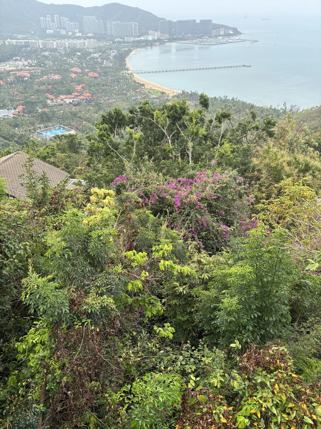 Гид доброжелательный русскоговорящий китайский парень по имени Иван(русский вариант). Удобная чистая машина. Маршрут соответствовал описанию. Сам
