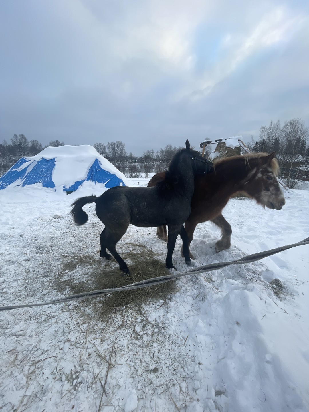 Все очень понравилось, огромное спасибо за проведенное время
