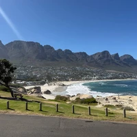 Фото отзыва 3: экскурсия "Кейптаун и Мыс Доброй Надежды — путешествие на край света"