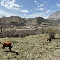 Фото отзыва 3: экскурсия "Плато Бермамыт и водопады Гришкиной балки"