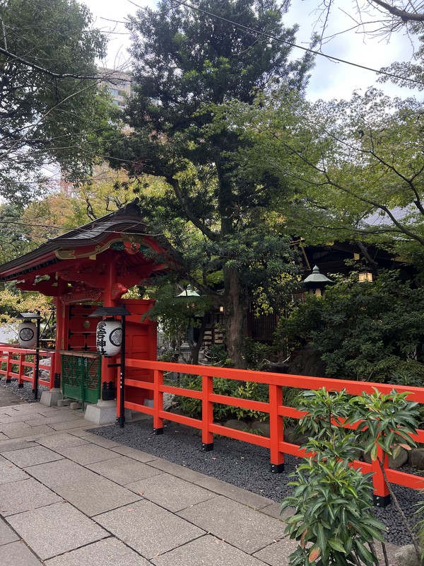 Цветущий Токио