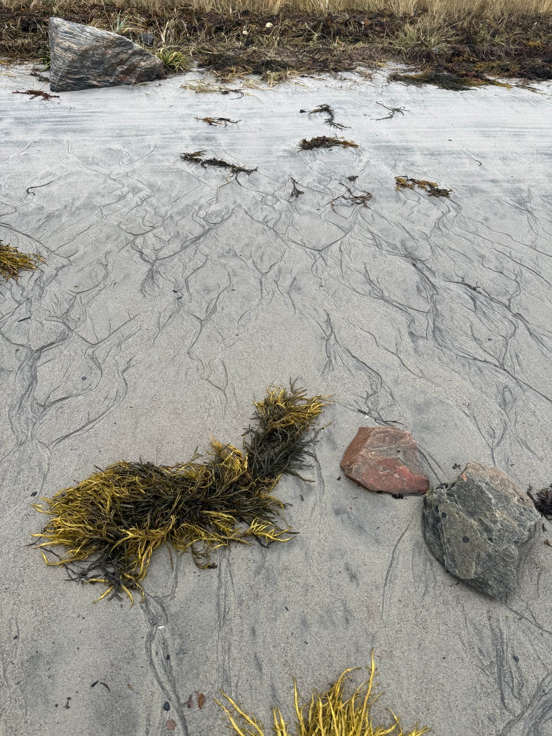 Замечательная экскурсия с профессионалом👍