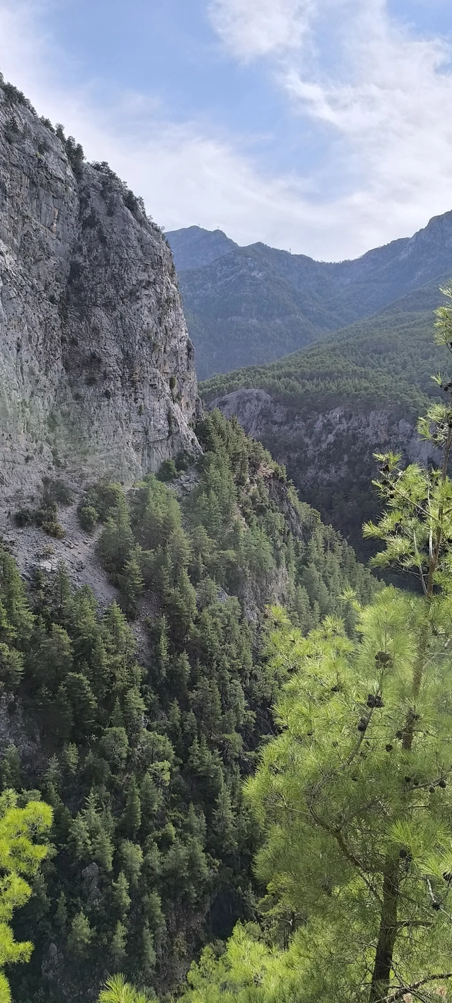 Прекрасно организованная экскурсия! Спасибо большое гиду Румяне за прекрасный день, а нашему водителю за безопасное вождение по серпантину)