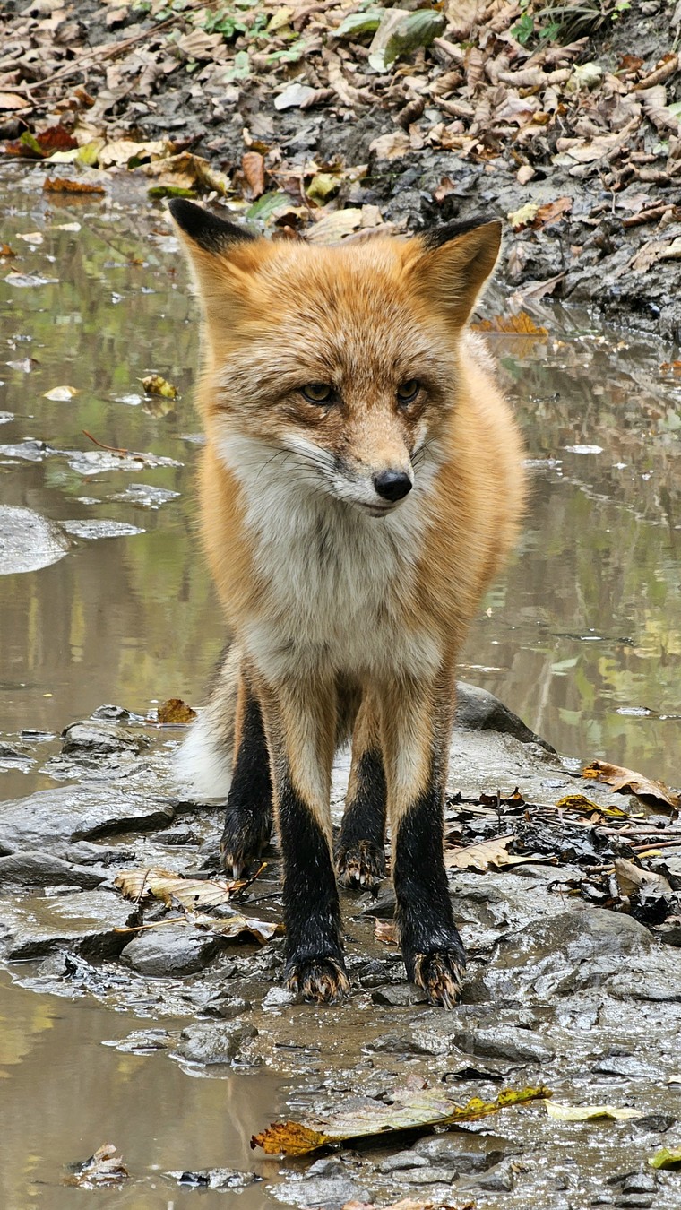 Владивосток — это по любви! (6/24)