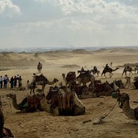 Фото отзыва 2: экскурсия "Новый Большой Египетский музей, пирамиды и Великий сфинкс"