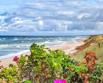 Куршская коса и Зеленоградск