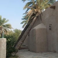 Фото отзыва 3: экскурсия "Путешествие к Индийскому океану"