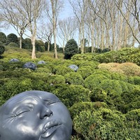 Фото отзыва 3: экскурсия "Из Парижа — в Руан, Этрета и Онфлёр за 1 день"