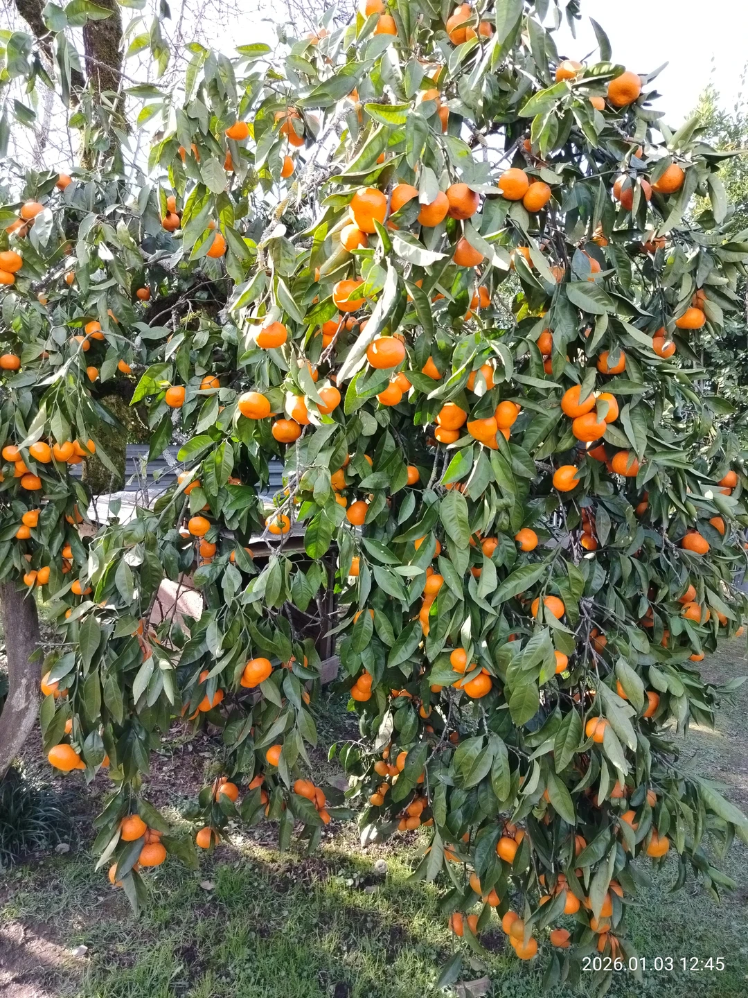 Всё отлично! Экскурсия прошла запланировано. Нам всё понравилось, только очень замерзли. В автобусе было холодно, хотя