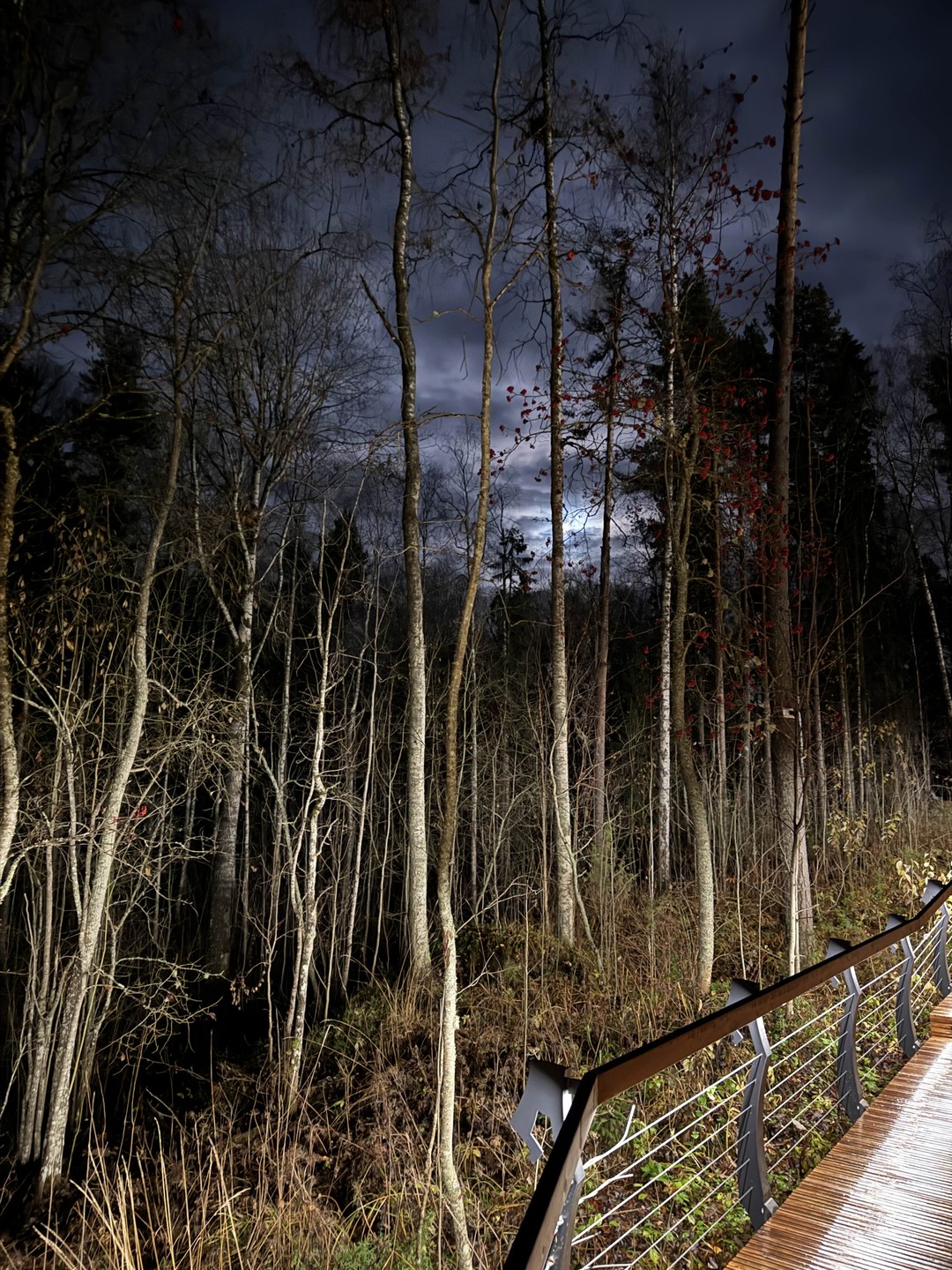 Очень было круто! И то что поехали во второй половине дня и было на горе темно